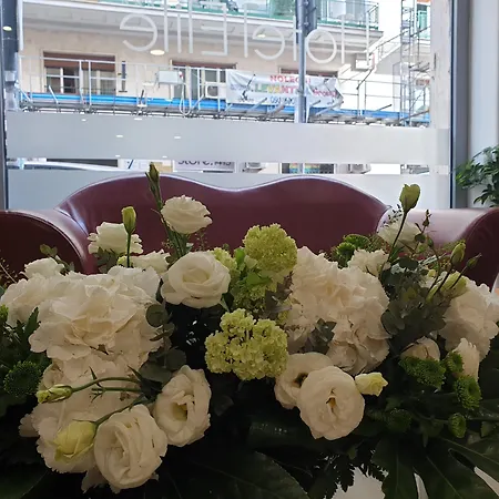 Elite Centro פלרמו